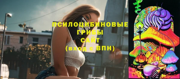 spice Балабаново