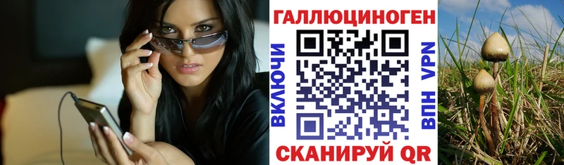 Галлюциногенные грибы GOLDEN TEACHER  цены   Реж 